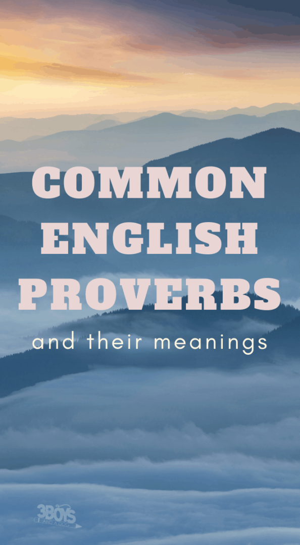 Essential Common English Proverbs and Their Meanings