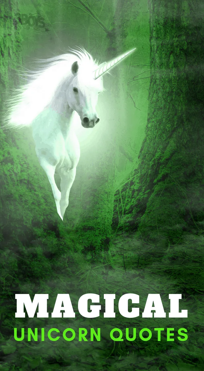 Dreams are the playgrounds of Unicorns and other magical unicorn quotes
