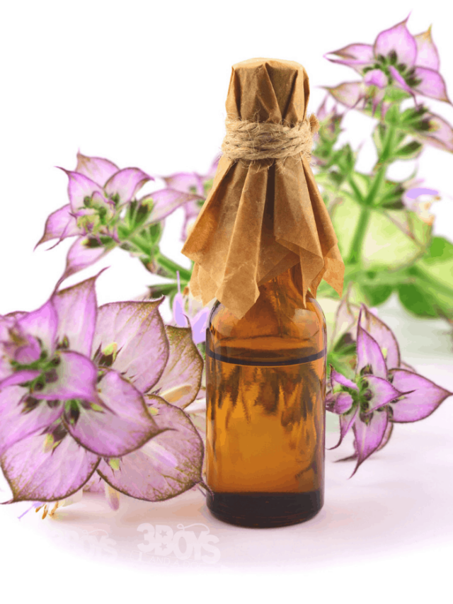 The Health Benefits of Clary Sage