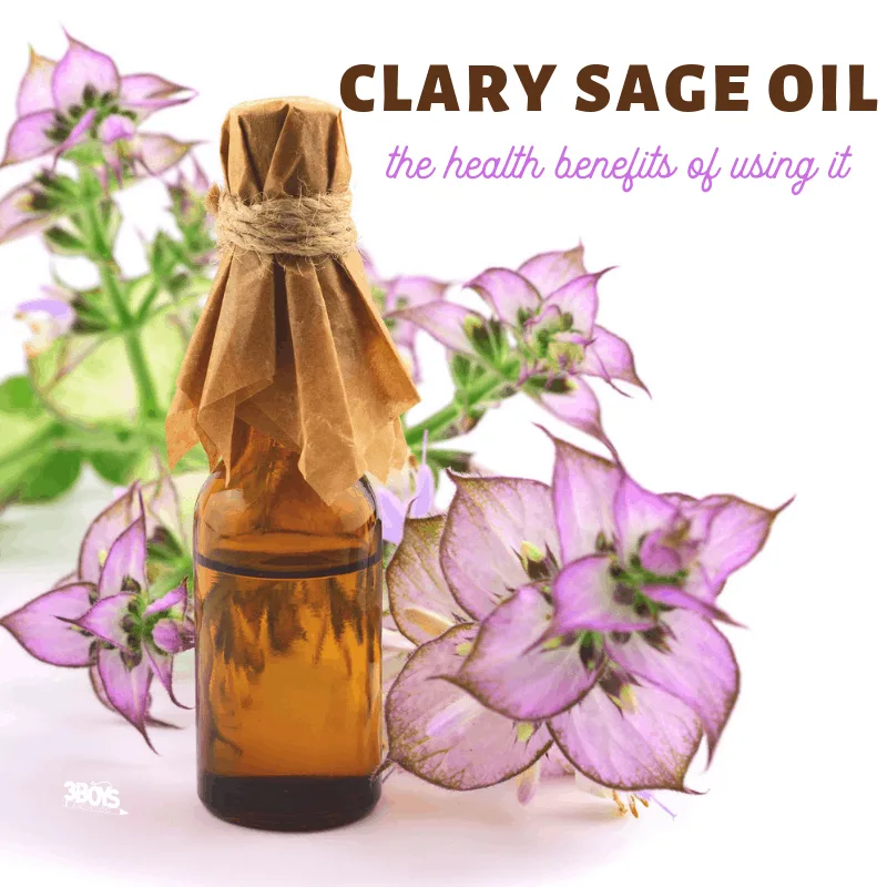 ultimate guide to clary sage essential oil