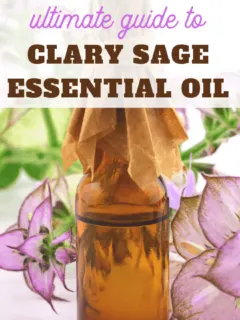clary sage tips tricks uses and health benefits