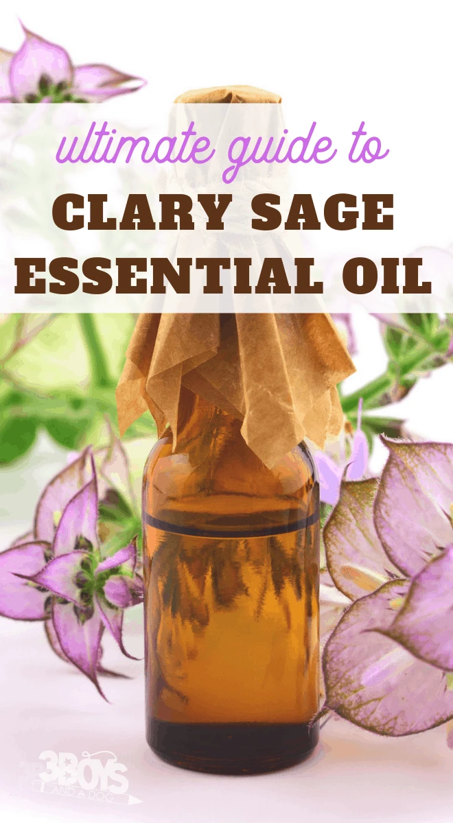clary sage tips tricks uses and health benefits