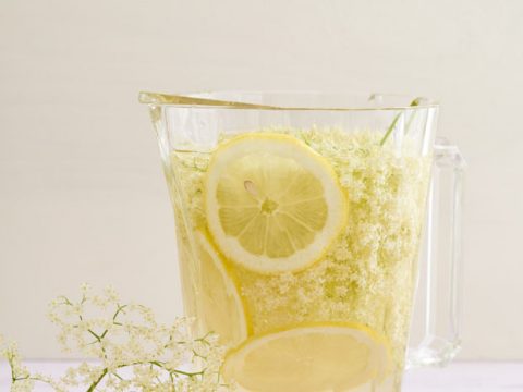 Image for Elderflower Cordial Recipe - Bacon is Magic - The Best Food Around the World