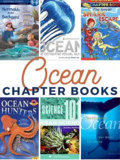 grab some of these ocean themed chapter books for kids