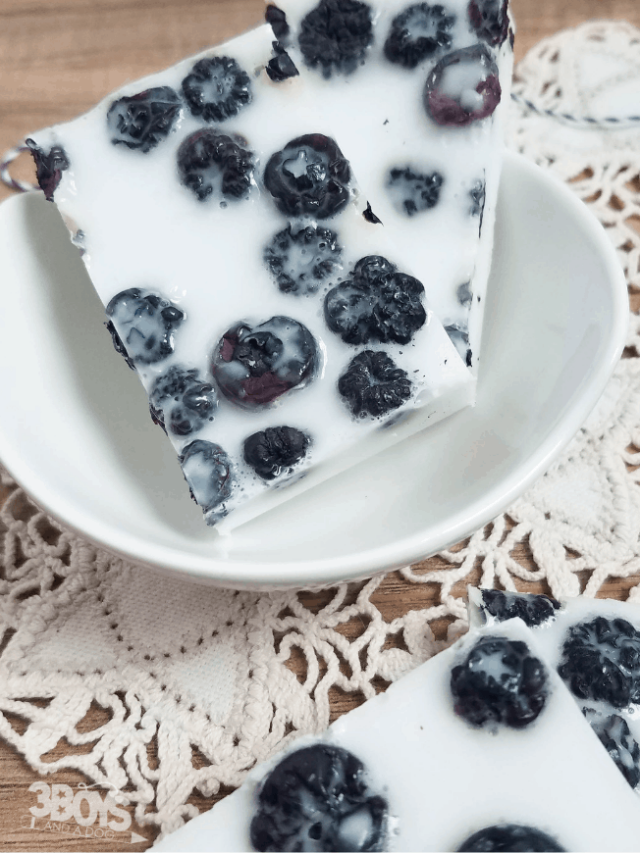 blueberries and cream melt and pour soap