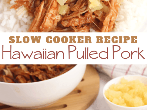 Slow Cooker Hawaiian Pork and Rice Recipe