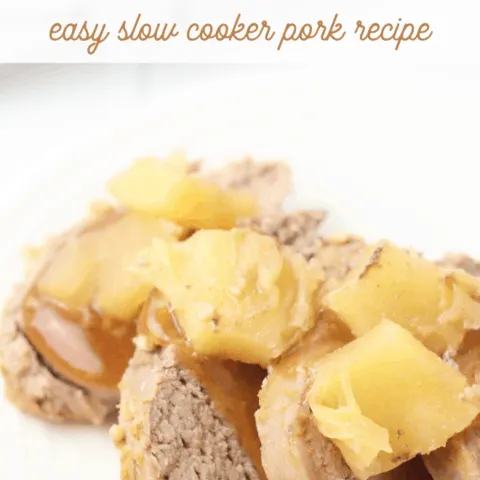 Slow Cooker Hawaiian Pork Tenderloin Recipe