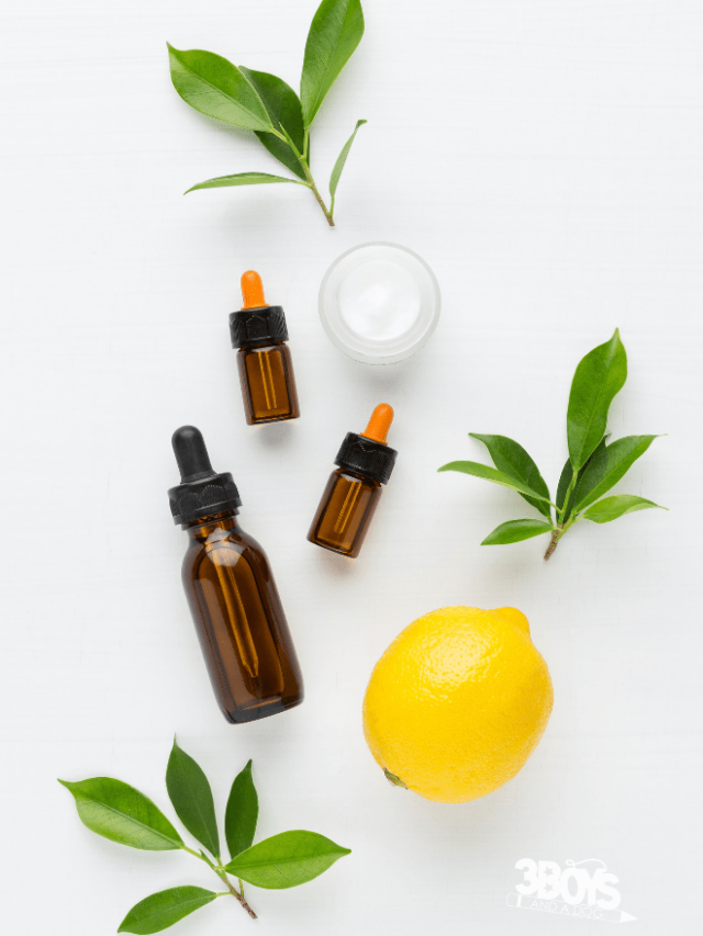 Summer Essential Oil Must Haves and Their Uses