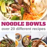 noodle bowls for quick dinners