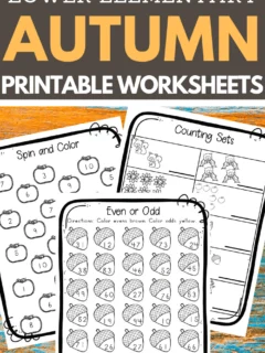 Autumn Worksheets for Lower Elementary School
