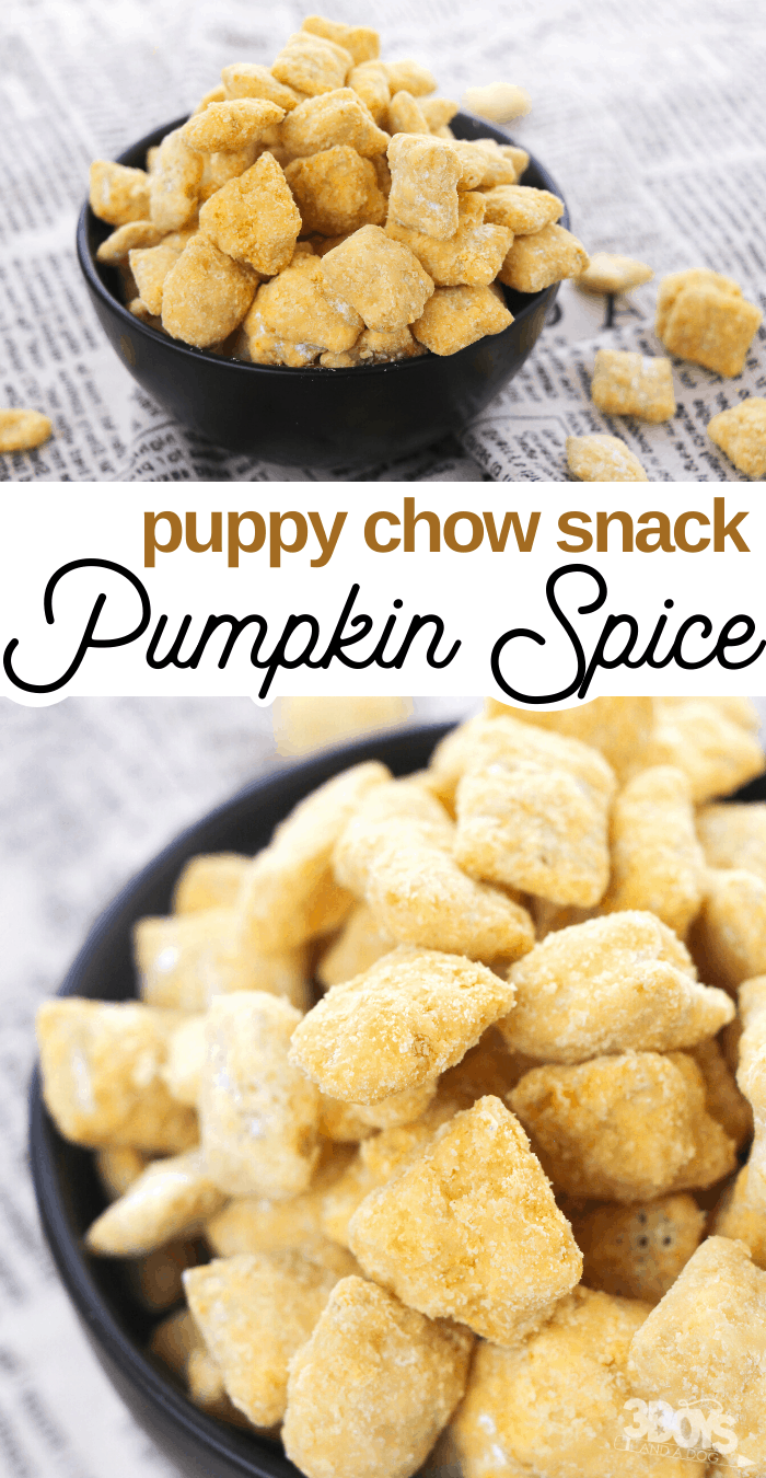 chex cereal and pumpkin spice chips makes puppy chow recipe