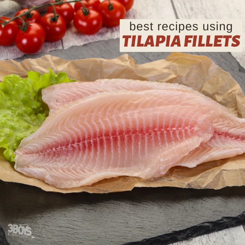 delicious dinner recipes that use tilapia fillets