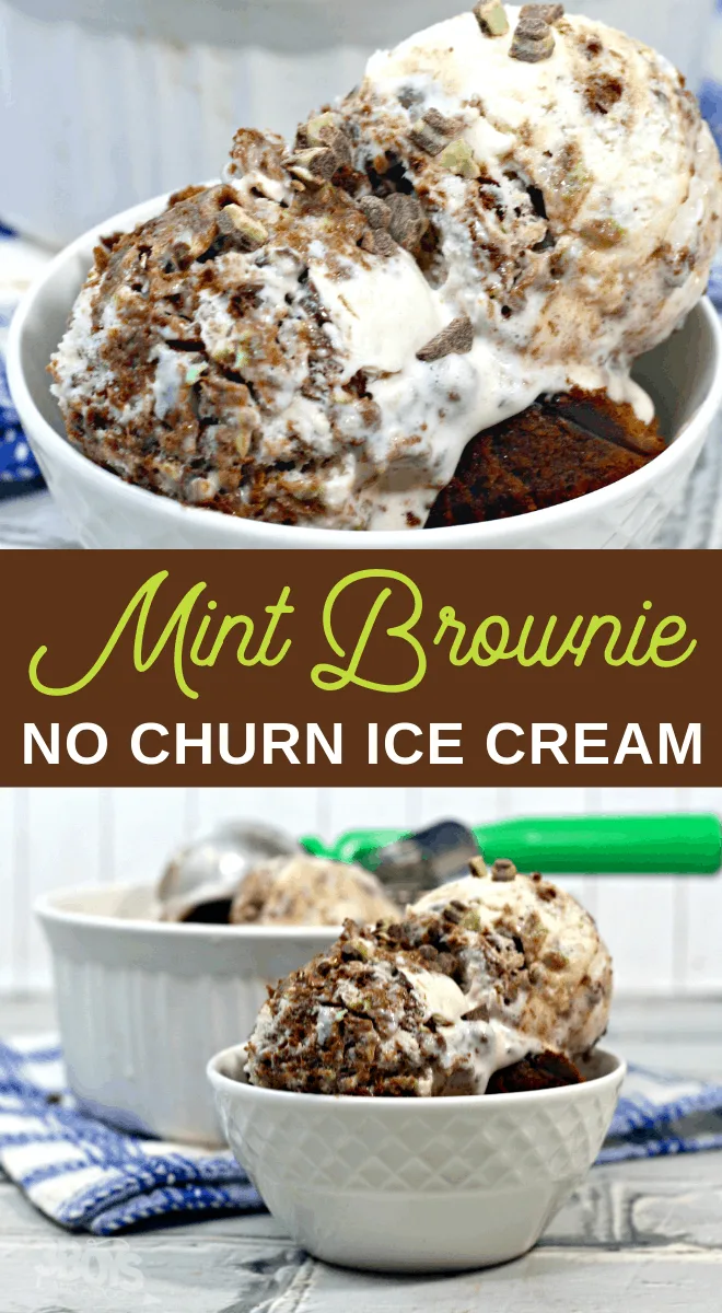 chocolate mint no churn ice cream recipe