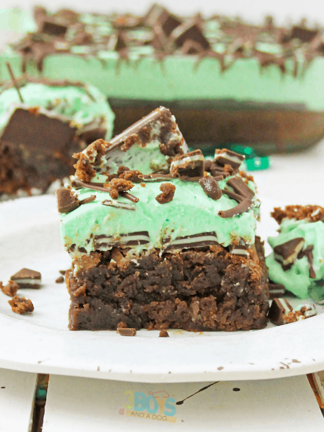 Addictive and Tasty Andes Mint Brownies Recipe Story