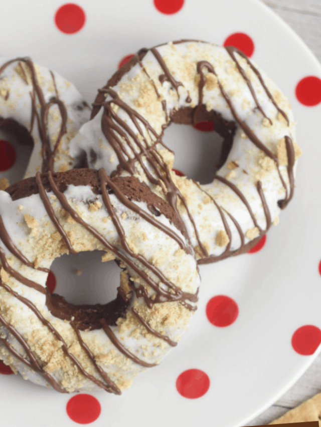 Delicious Smores Donuts Recipe the Kids Love Story