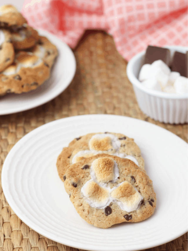 Delicious and Easy Cookie Recipes for Kids Story