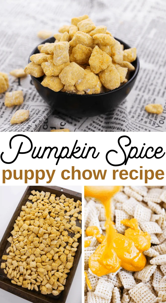 pumpkin spice puppy chow or muddy buddies snack recipe