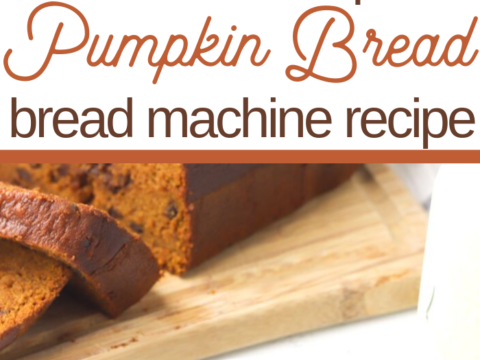 pumpkin dessert recipe with mini chocolate chips