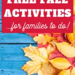 free fall activities for families to do together