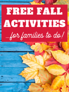 free fall activities for families to do together