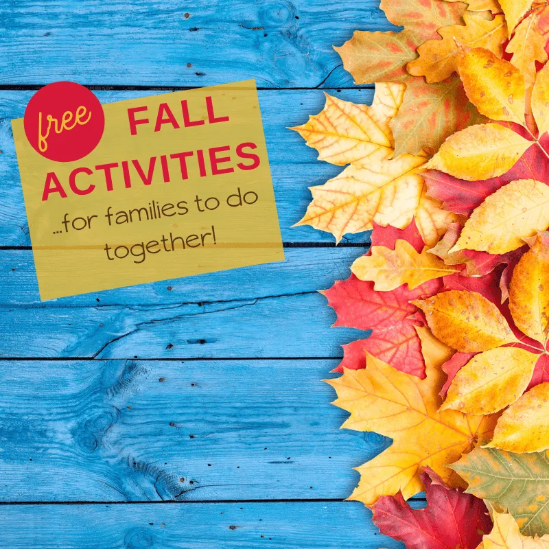 free fall activities for families and kids
