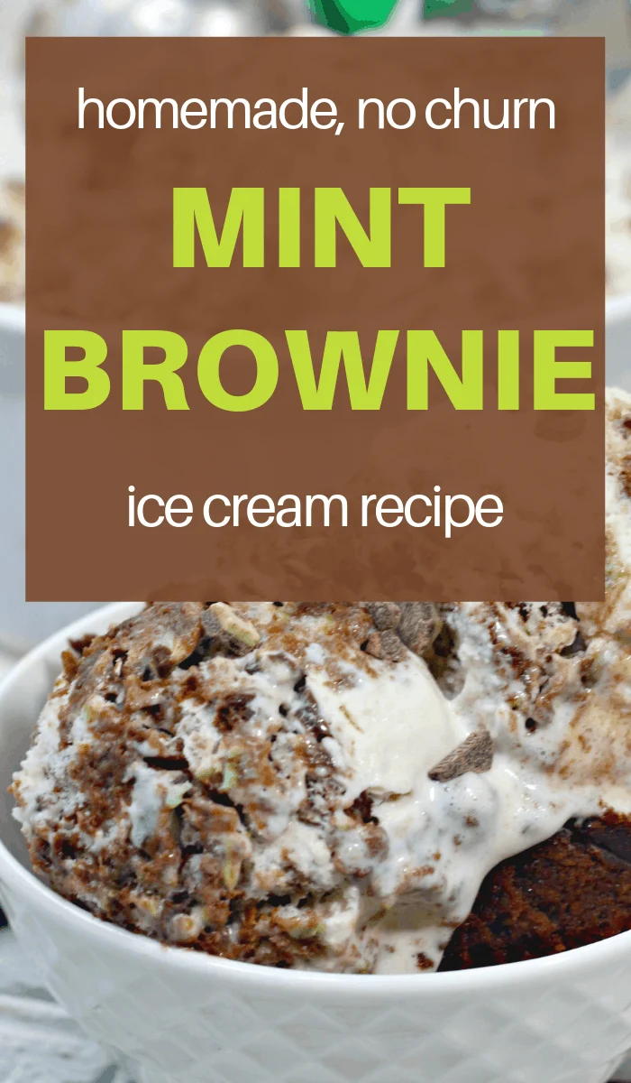 ice cream from andes mint chocolate brownies