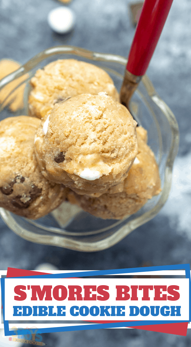 edible cookie dough smores recipe
