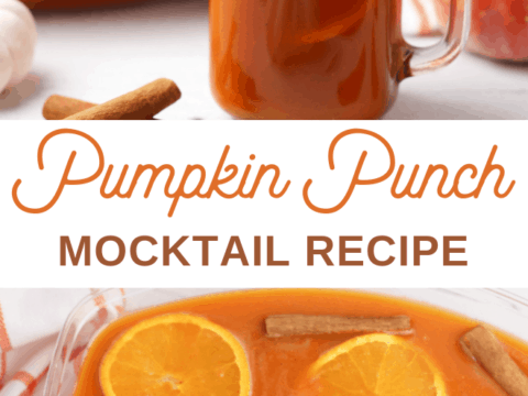 kid or pregnancy friendly Pumpkin Punch Recipe