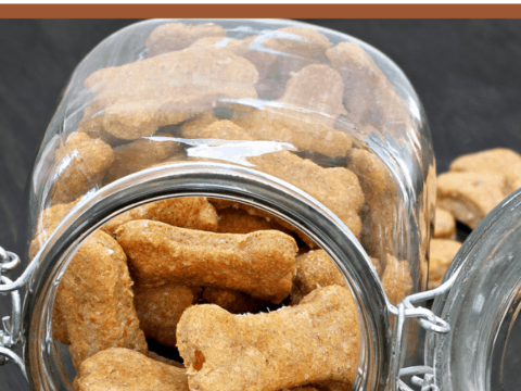 A glass jar tipped over, scattering bone-shaped, non-allergenic dog treats made from leftovers. The text above reads DIY Dog Treats Non-Allergenic against a sleek black background.