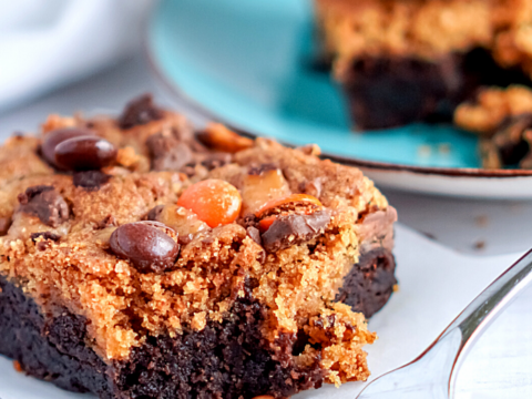 delicious dessert of pumpkin and peanut butter topped brownies