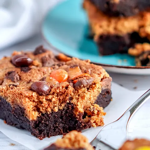 delicious dessert of pumpkin and peanut butter topped brownies