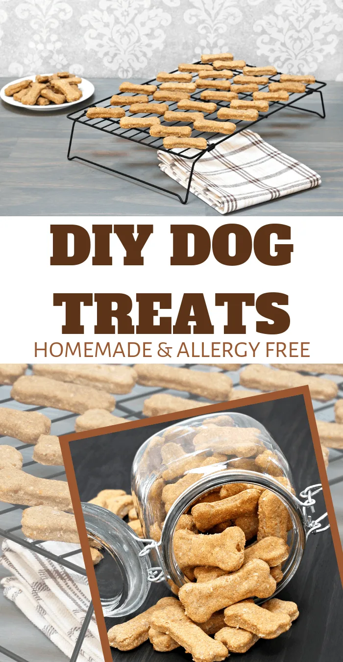 allergy free snacks for doggies