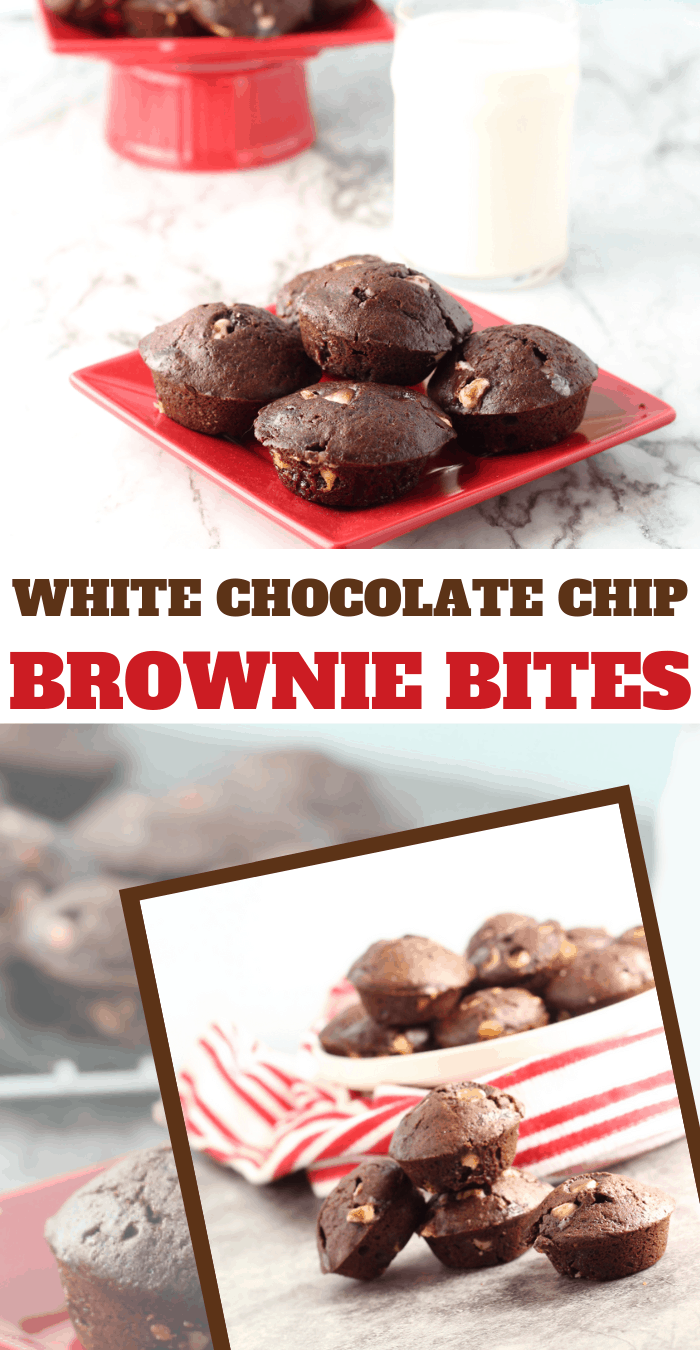 fudgy brownie bites with white chocolate chips