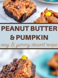 delicious brownies are layered with a pumpkin and peanut butter blondies recipe