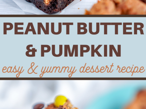 delicious brownies are layered with a pumpkin and peanut butter blondies recipe