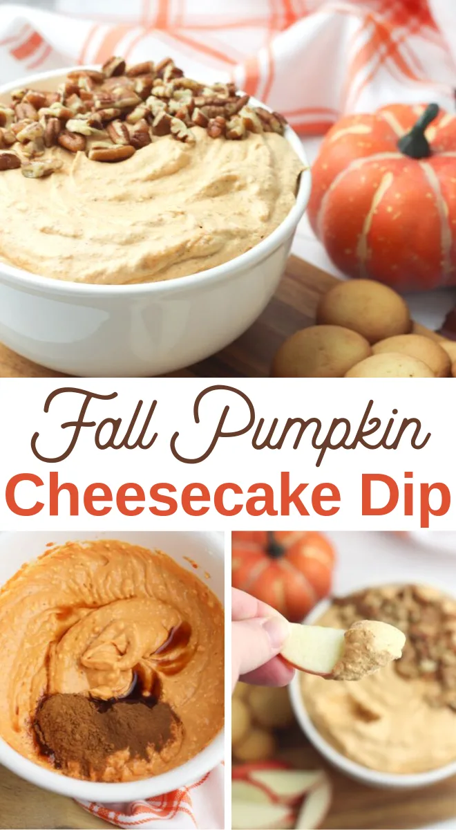 autumn appetizer pumpkin cheesecake dip recipe