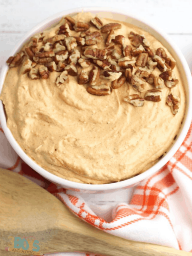 Fall Pumpkin Cheesecake Dip