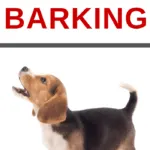 how to stop your dogs from constantly barking