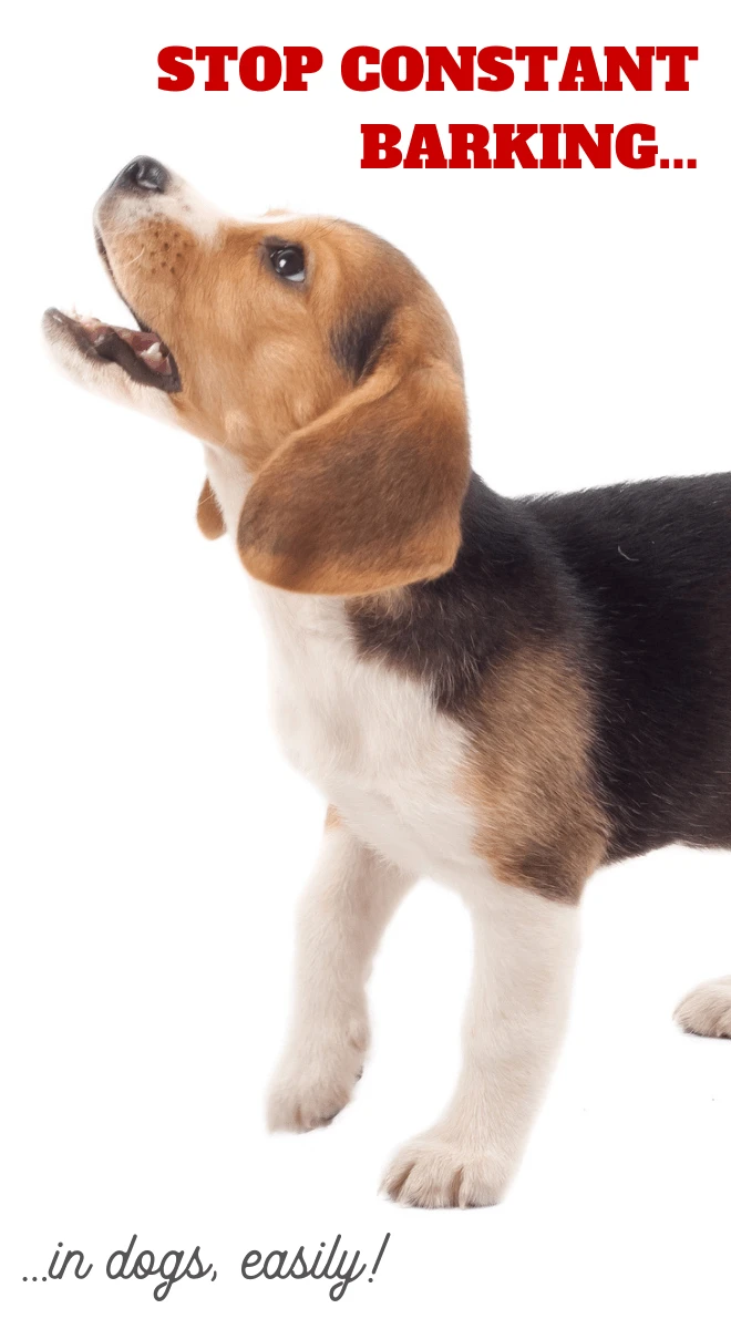 how to stop dog barking behavior