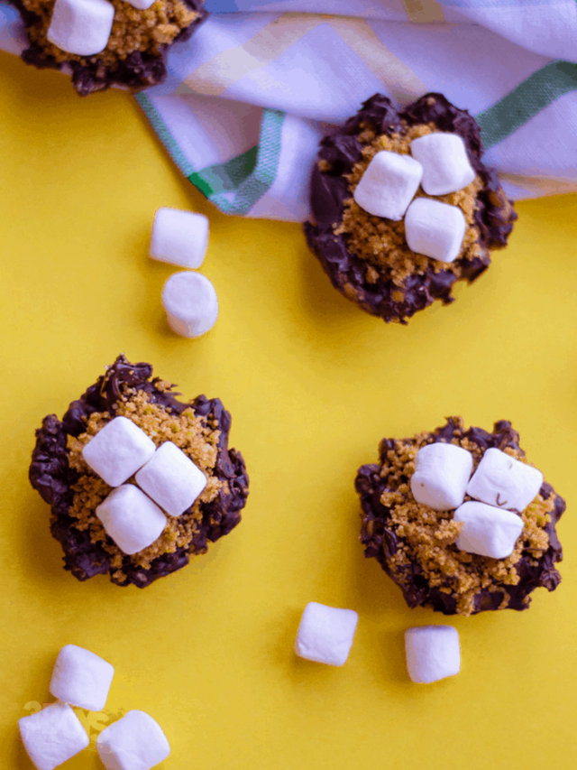 Easy Pretzel S’Mores Recipe for Snack Time! Story