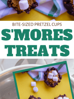homemade smores pretzel cups for snack