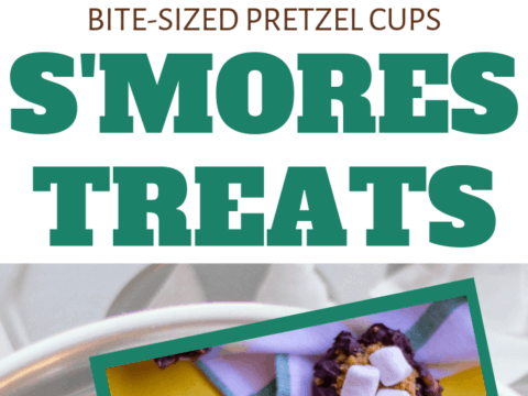 homemade smores pretzel cups for snack
