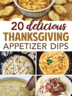 20+ Thanksgiving Appetizer Recipes to enjoy this holiday season