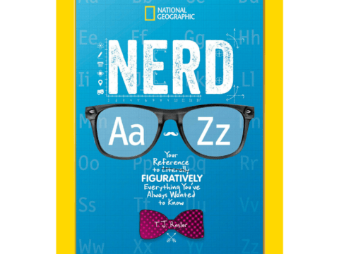 Image for Nerd A to Z