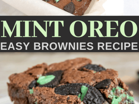 homemade mint oreo brownies for dessert