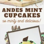 andes mint cupcake recipe