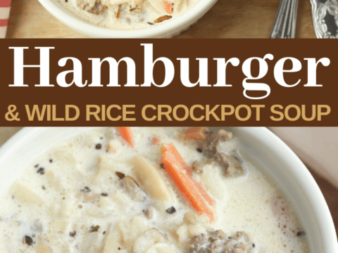 how to make hamburger soup with wild rice in a slow cooker