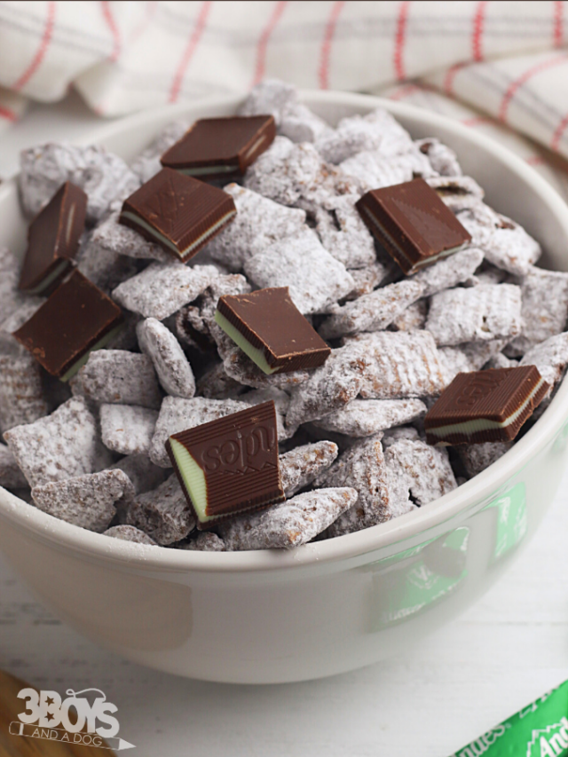 mint chocolate snack recipe