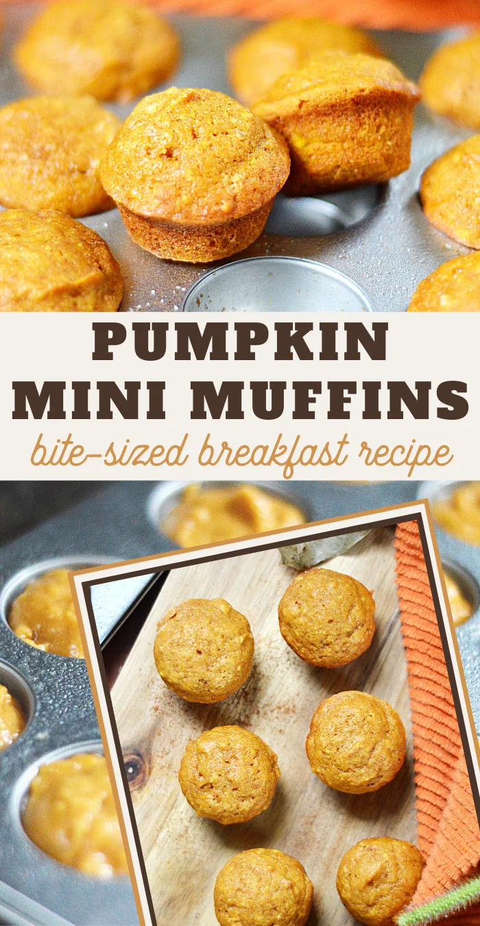 Insanely Easy mini pumpkin muffins recipe