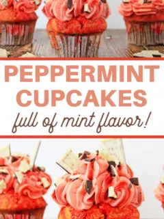 chocolate peppermint cupcakes recipe